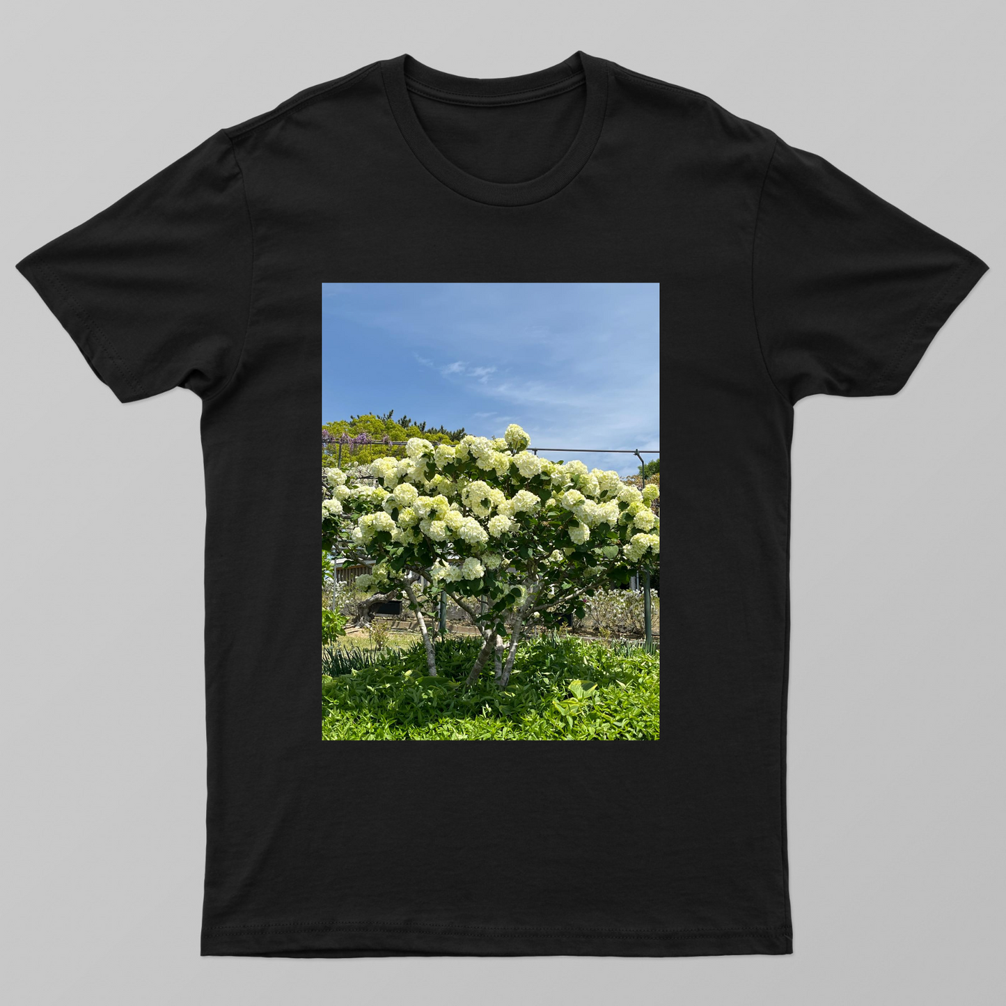 Beautiful flowers Unisex T-shirt by Susweta Bagchi