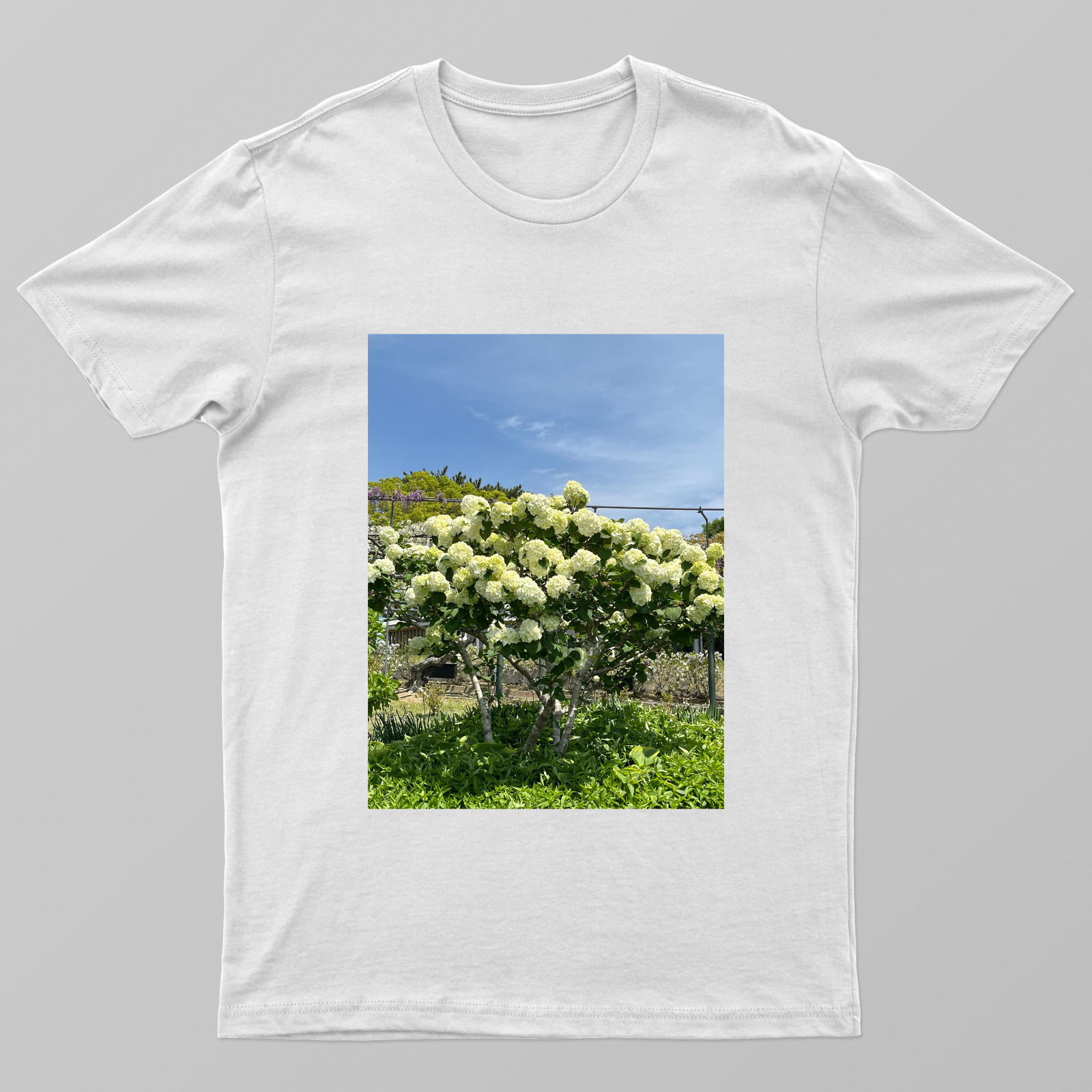 Beautiful flowers Unisex T-shirt by Susweta Bagchi