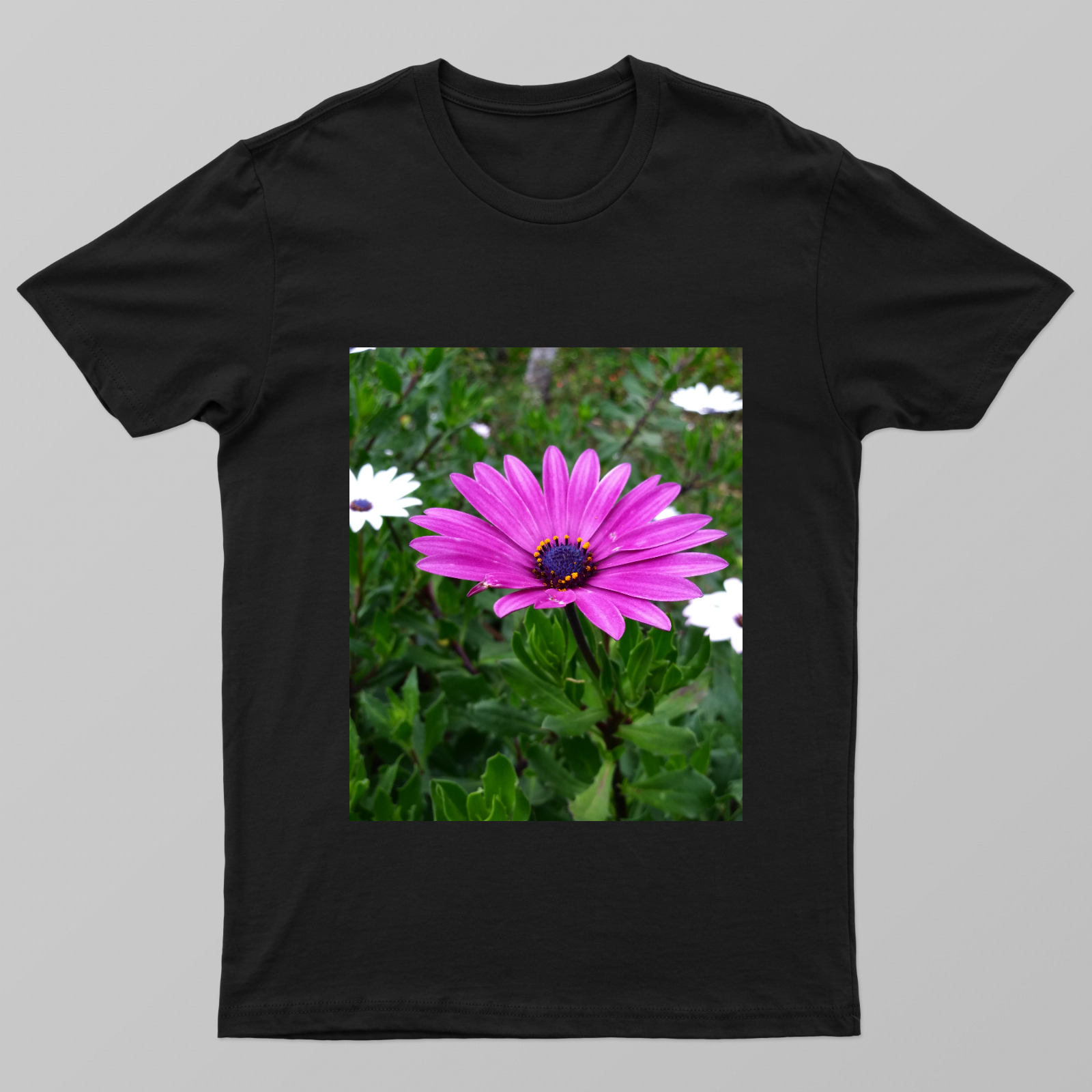 Dazzling Daisy Unisex T-shirt by Sujatha