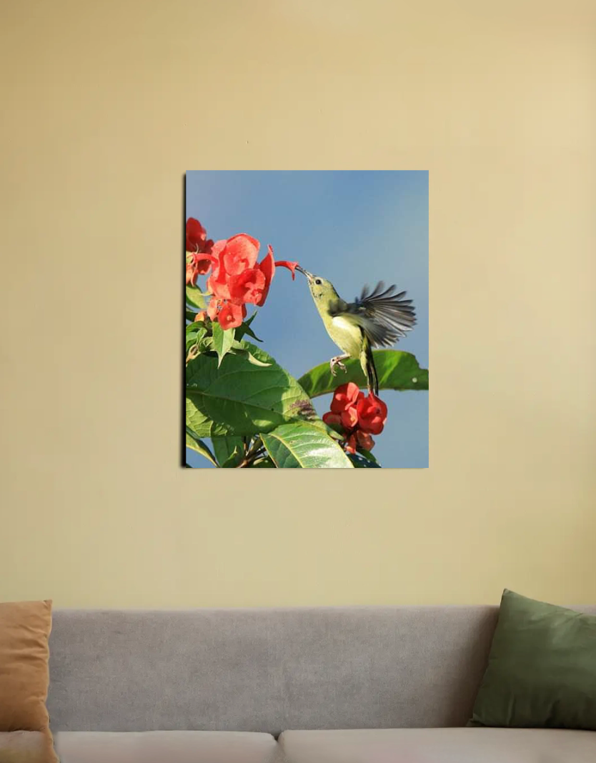 Humming bird 16"x20" Canvas Poster by @shubhrasaha68