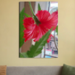 China rose 20"x30" Canvas Poster by Niljyoti Dey