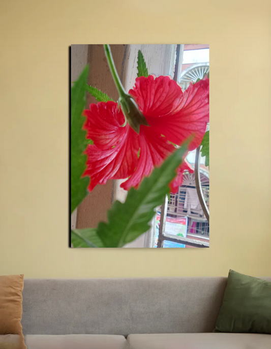 China rose 20"x30" Canvas Poster by Niljyoti Dey