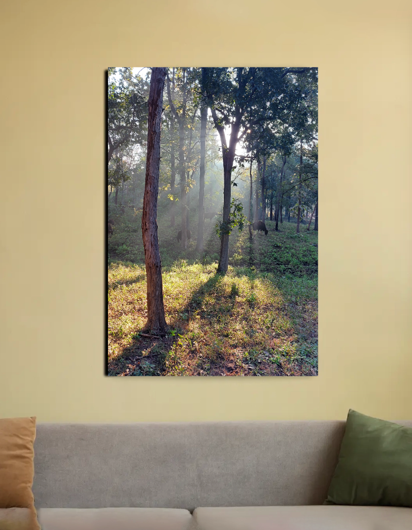 Sunshine on the trees 20"x30" Canvas Poster by Shubhra Saha