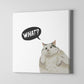 What? innocent cat Canvas Print by @blank_snow_art