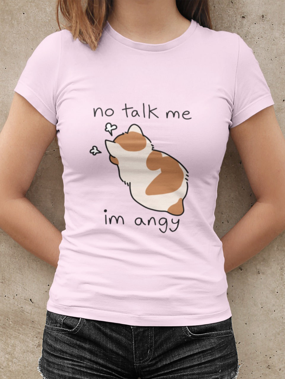 Girl wearing a baby pink tshirt with No talk me I'm angy written on it with a cute white and brown angry cat in the middle, facing away with 2 clouds showing frustration, funny meme